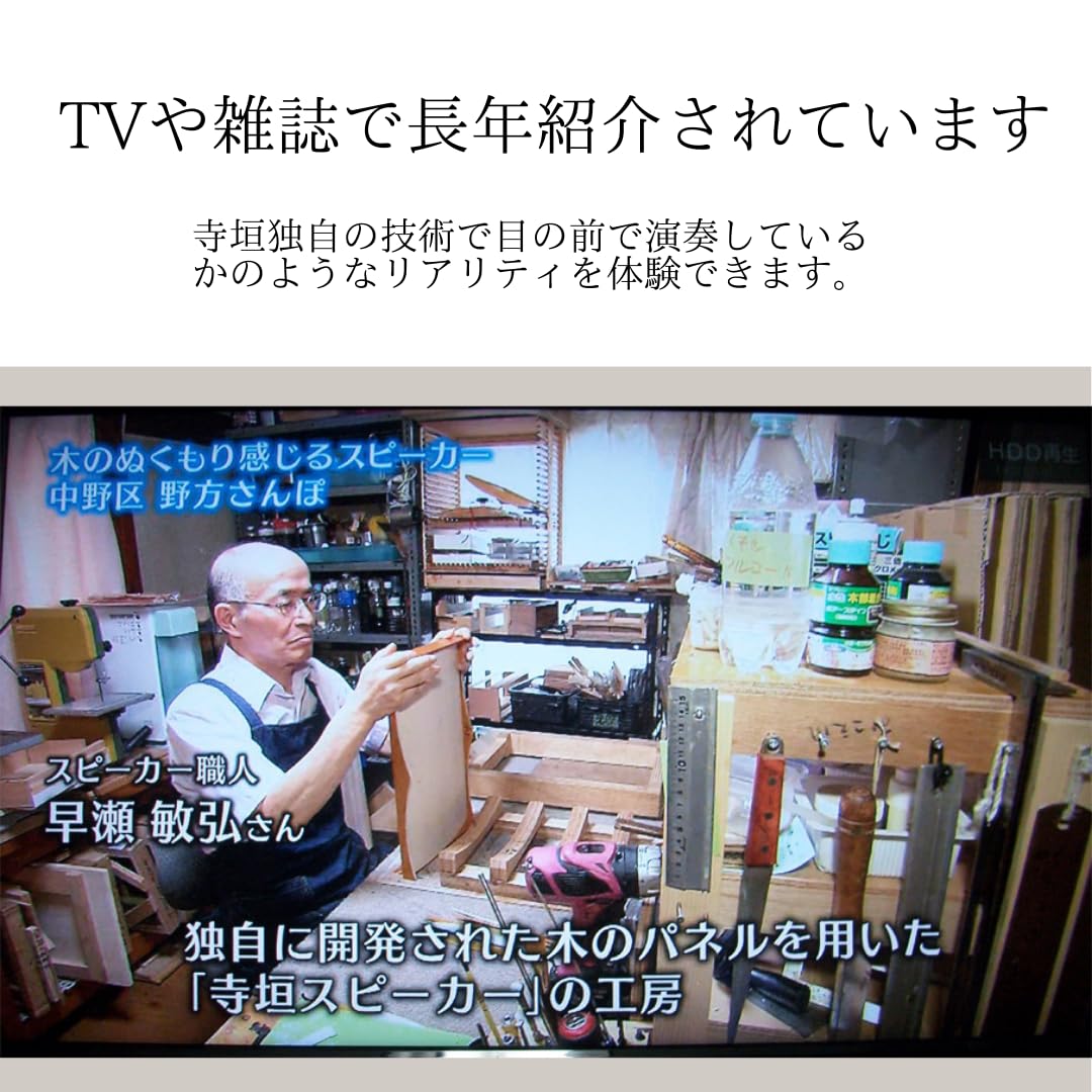 Amazon.co.jp: Teragaki Speaker TERRA-SP300 New Type : Electronics